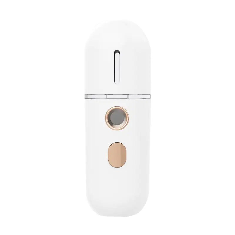 Frost Glow Nano Moisturizer Steam Facial Humidifier