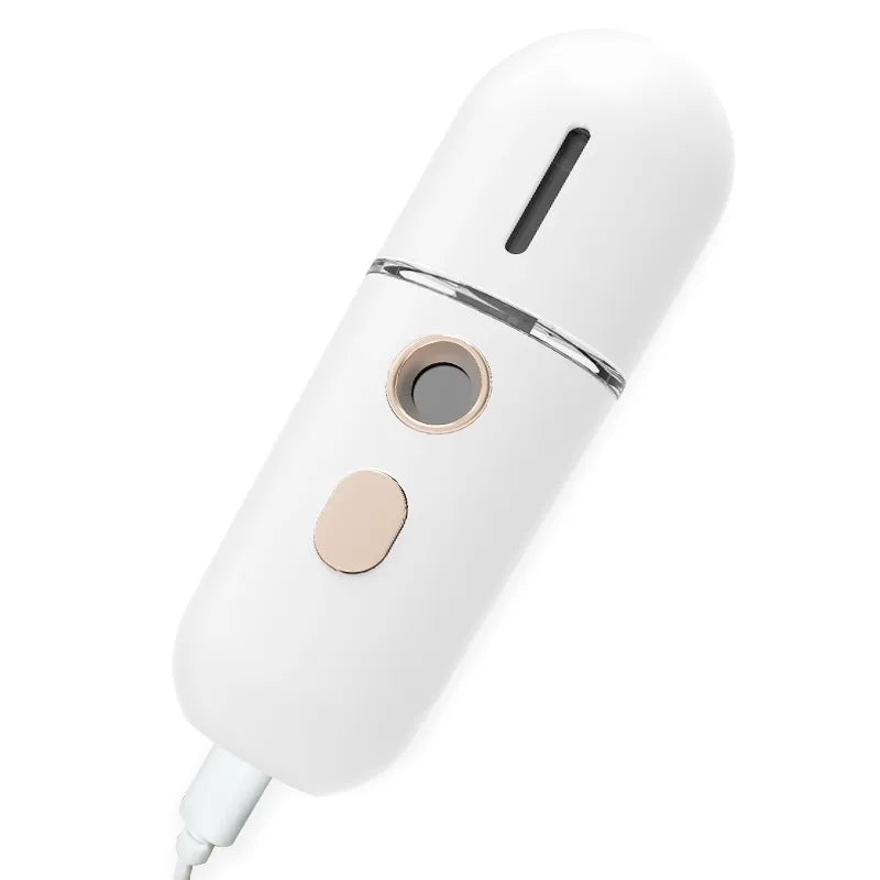 Frost Glow Nano Moisturizer Steam Facial Humidifier