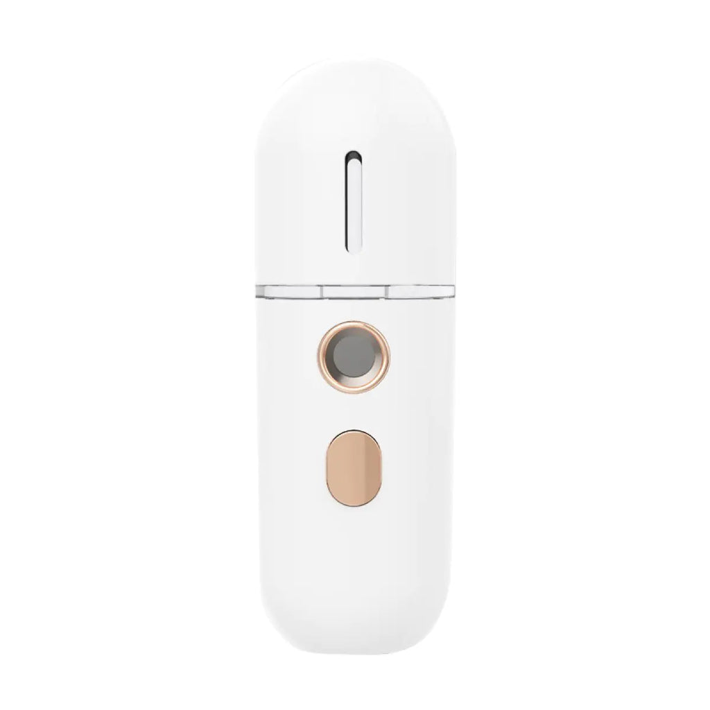 Frost Glow Nano Moisturizer Steam Facial Humidifier