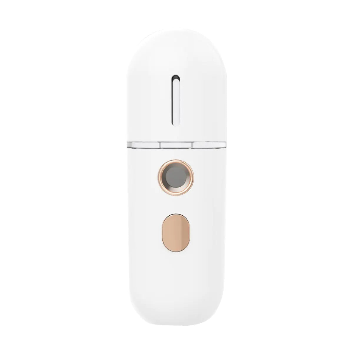Frost Glow Nano Moisturizer Steam Facial Humidifier