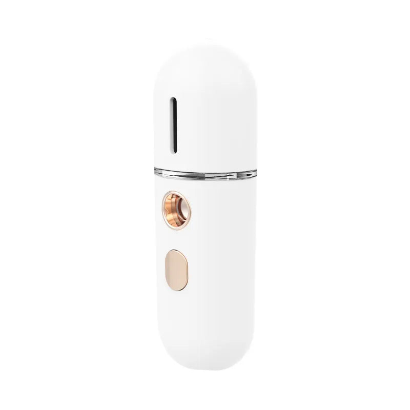 Frost Glow Nano Moisturizer Steam Facial Humidifier