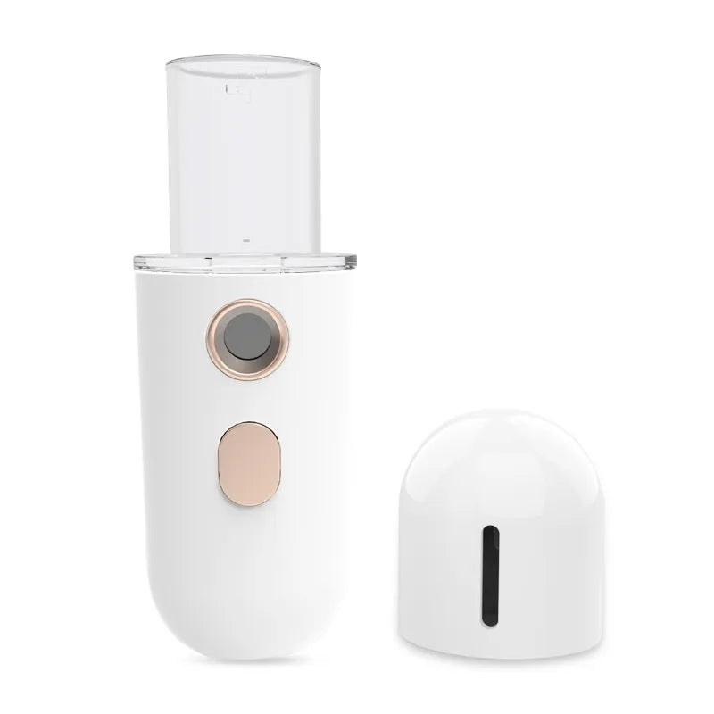 Frost Glow Nano Moisturizer Steam Facial Humidifier